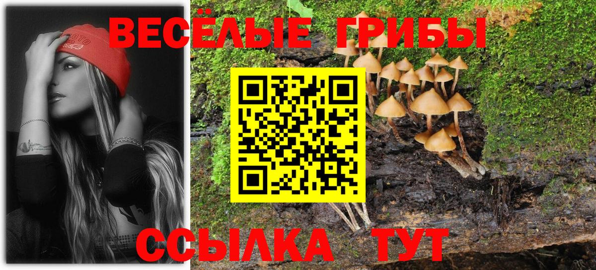 Галлюциногенные грибы Psilocybe  Вход с VPN  Галлюциногенные грибы GOLDEN TEACHER  Сегежа 